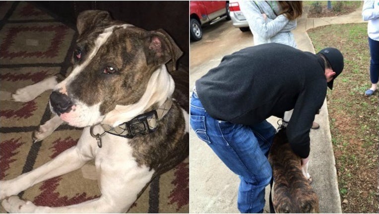 4a797446-dog reunites with owners_1451924621067-404959.jpg