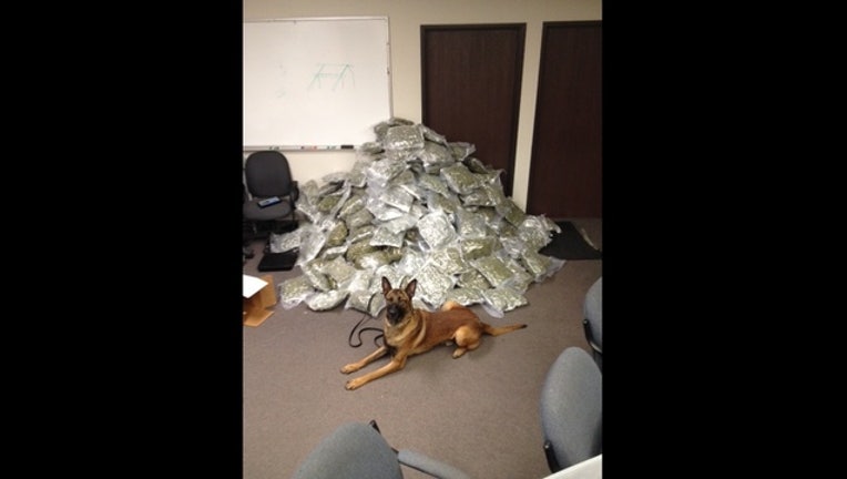 8a777286-dog_1447888731228.jpg