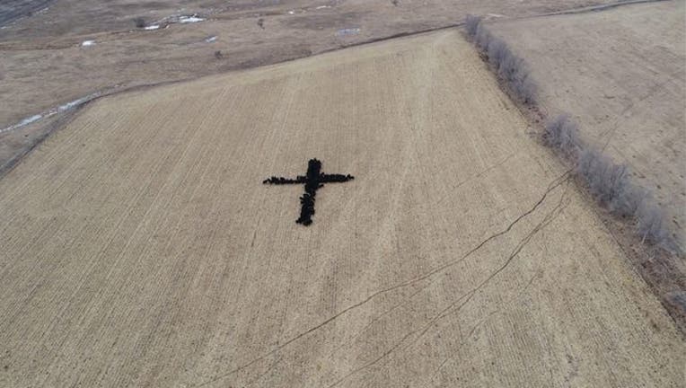 3a521216-farmergene_cross_122118_1545414486296-401385.jpg