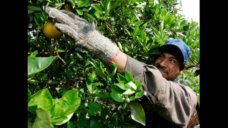 Farmworker Fraud_1472578777520