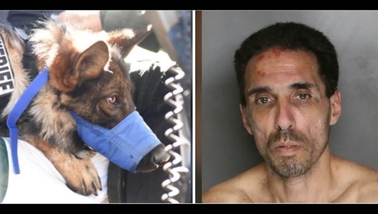 2c5448e6-k9 stabbed_1526838970302.PNG.jpg