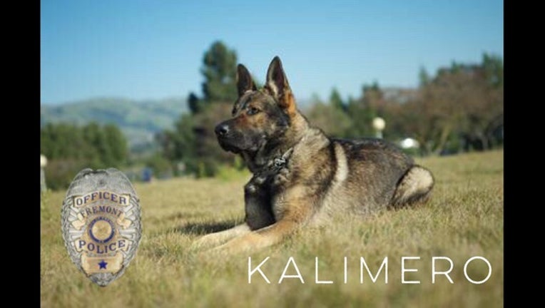 a28bbd2f-kalimero_1449878802204.jpg