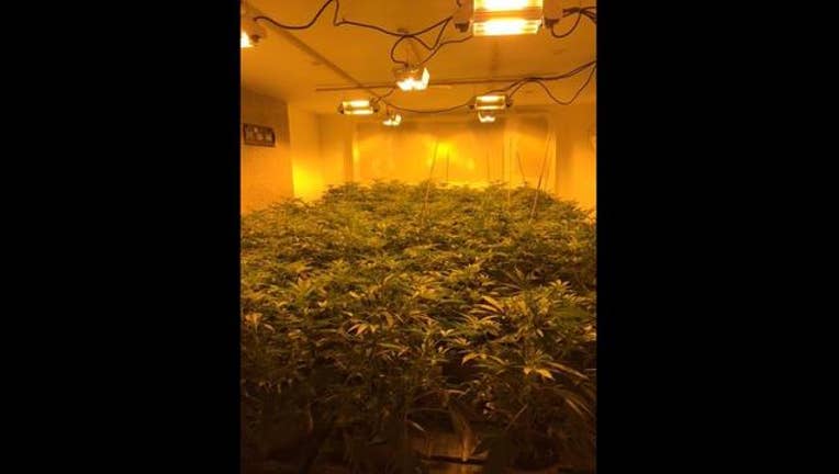5f599966-marijuana_1459526140981.jpg