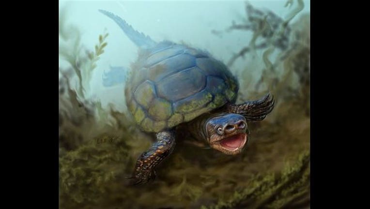 1888d0c7-Extinct Pig-Snouted Turtle_1445556810508