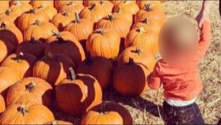 e8d2be57-toddler_blurred_1541450605150.JPG