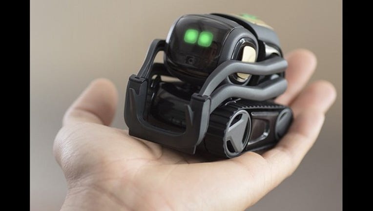 Anki startup sale