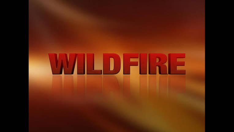 a755ed99-wildfire_1467332910694.jpg