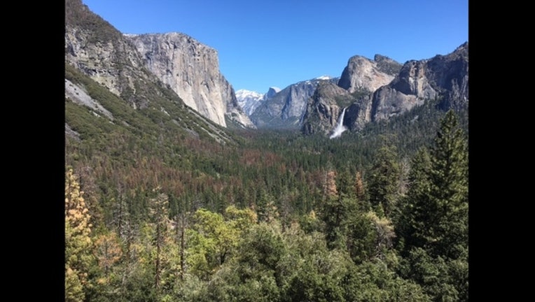 yosemite6_1494357594091.JPG