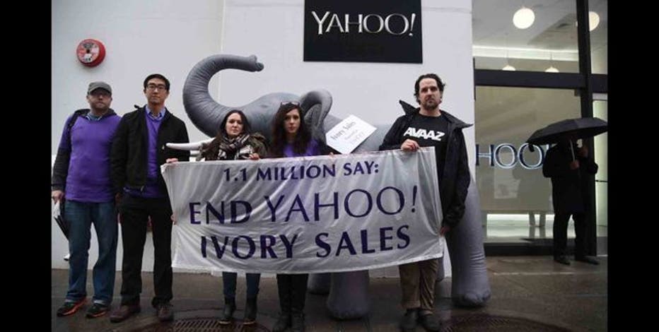 protest against yahoo japan claims of sales of ivory