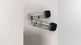 Parents fearful of ticks found on athletic fields