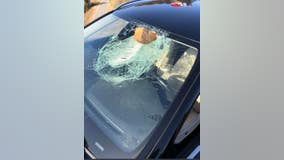 Close call: Chunk of wood smashes through driver's windshield on I-80 in Richmond