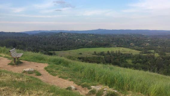 Woman killed, man injured by fallen tree in Santa Cruz