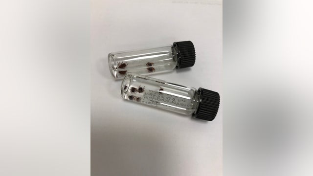 Parents fearful of ticks found on athletic fields