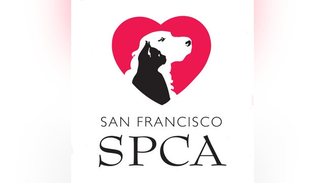 Affordable wellness exams for pets offered at San Francisco SPCA clinic