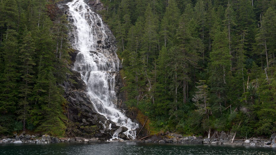 GETTY-TONGASS.jpg