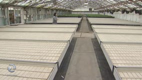 After more than a century in business, Half Moon Bay flower farm closes