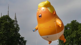 'Baby Trump' balloon slashed during Alabama appearance