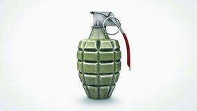 Live grenade safely removed from back yard of Oakland residence