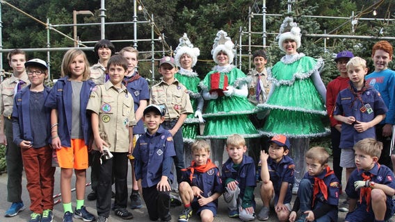 Piedmont Boy Scout Christmas tree lot returns for 50th year