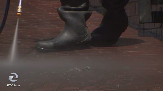 Feces on San Francisco sidewalks appears to be getting worse report says