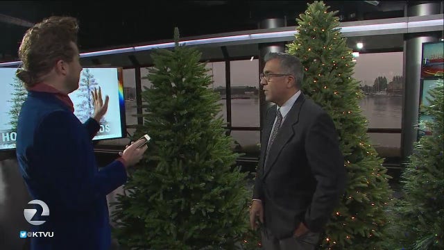 Fake or real? The Christmas tree debate lives on