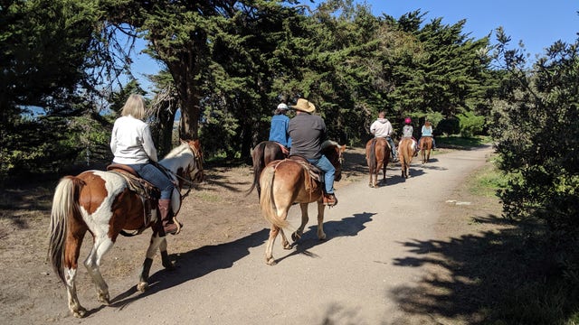 Horseback riding returns to Golden Gate Park after nearly two decades