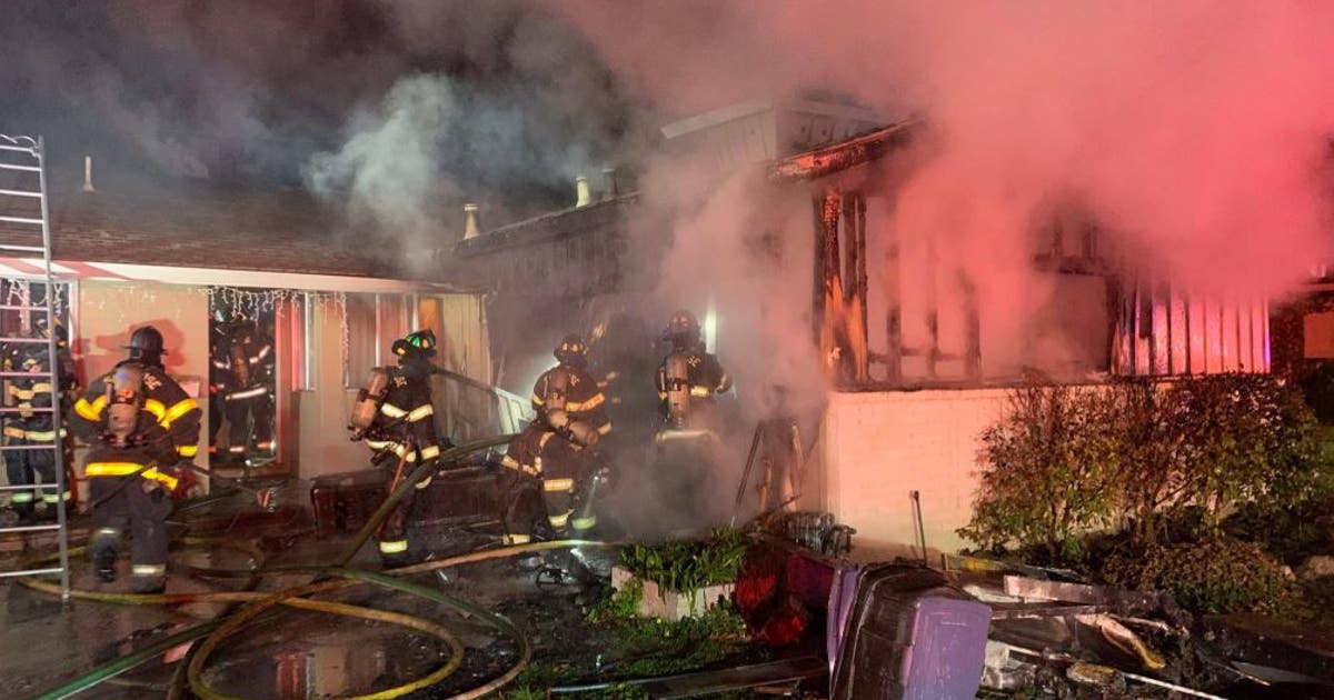 Firefighters rescue cats from San Jose house fire | KTVU FOX 2