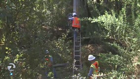 PG&E makes progress on goal to clear overhead electric lines