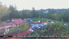 Peacock Christmas Tree Farm offers happy holiday feelings, aid to students