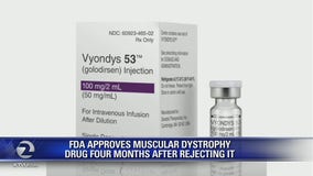 In surprise decision, US approves muscular dystrophy drug