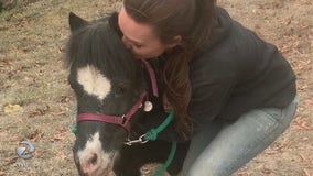 Fire evacuees reunite with strangers who rescued their animals