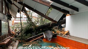 Tree falls into home in Montclair district of Oakland