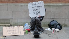 California's homeless plan won't have meaningful impact: legislative analyst