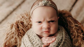 Mean mugging: Baby appears extremely unamused in adorable newborn photo shoot