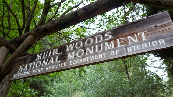 Marin County parks closed to curb stream of visitors
