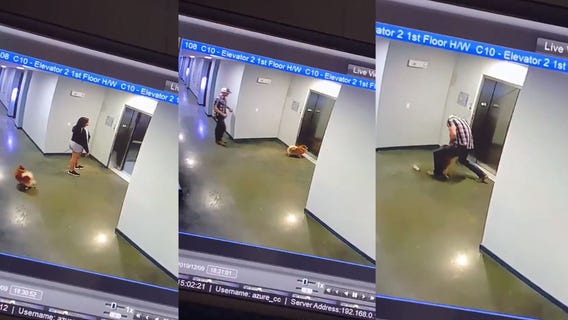 Video captures man’s heroic rescue of dog after leash gets shut in elevator doors