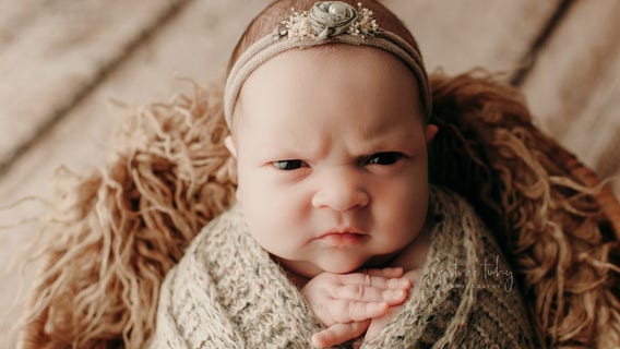 Mean mugging: Baby appears extremely unamused in adorable newborn photo shoot