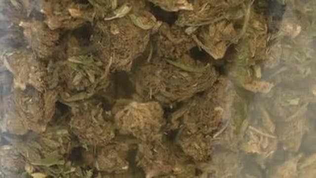 Exploring the $390 million CBD industry, craze with wrestler Bob Backlund