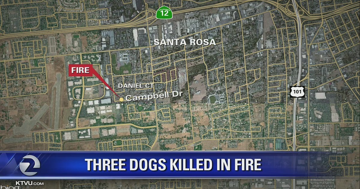Three dogs die in early morning Santa Rosa granny unit fire | KTVU FOX 2