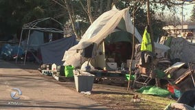 Series of fires plagues growing Santa Rosa homeless encampment