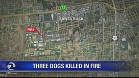 Three dogs die in early morning Santa Rosa granny unit fire