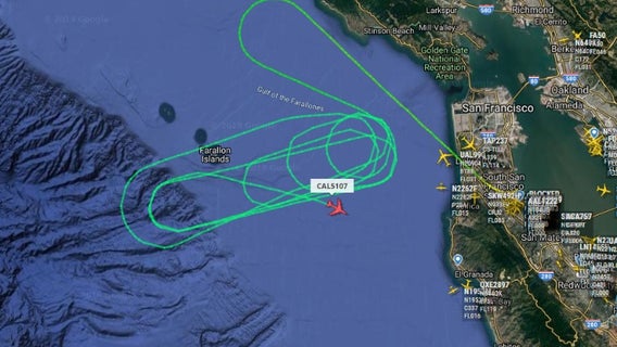 Bird strike prompts China Airlines flight to return to SFO