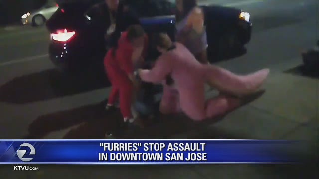 FurCon video: Domestic violence suspect restrained by 'furries' until police arrive
