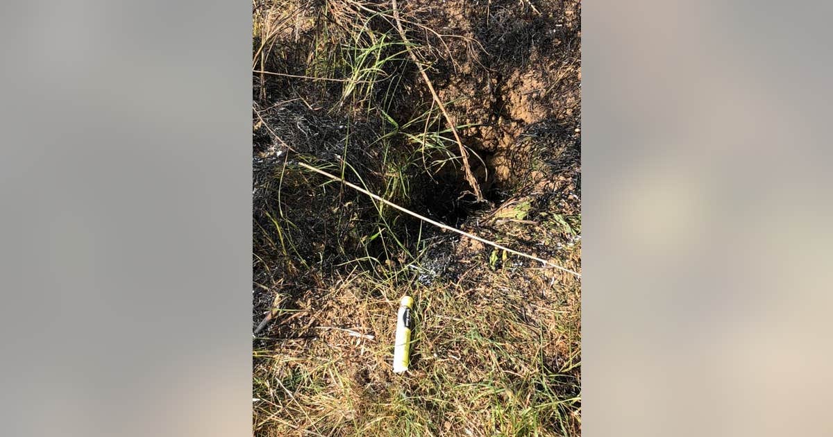 Gopher Fire 'Gopher bomb' may have started vegetation fire in Brentwood | KTVU FOX 2