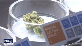 Mill Valley pot delivery seeks green light, schools oppose