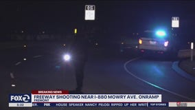 Five shots fired at BMW on freeway in Fremont