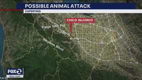 Rancho San Antonio park closed after girl, 6, attacked by suspected mountain lion