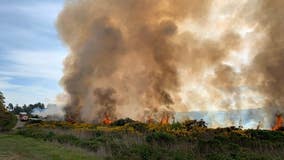 Brush fire burning on San Bruno Mountain at 8 acres