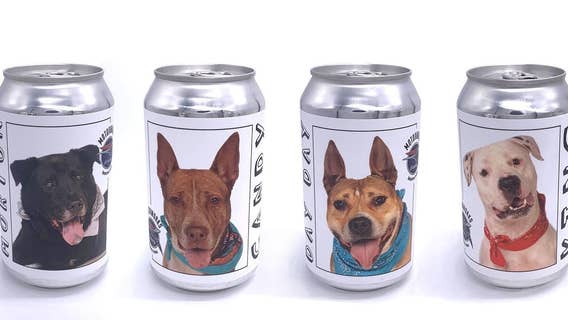 Woman sees missing dog on beer cans promoting shelter dogs