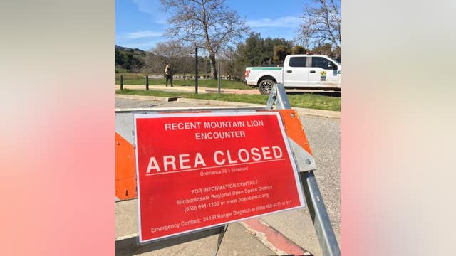DNA confirms mountain lion attacked 6-year-old on trail in Rancho San Antonio County Park
